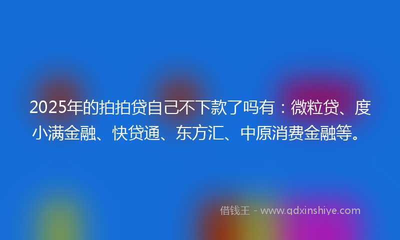 2025年的拍拍贷自己不下款了吗有：微粒贷、度小满金融、快贷通、东方汇、中原消费金融等。