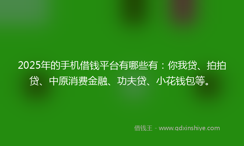 2025年的手机借钱平台有哪些有：你我贷、拍拍贷、中原消费金融、功夫贷、小花钱包等。