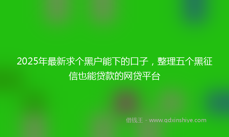 2025年最新求个黑户能下的口子，整理五个黑征信也能贷款的网贷平台