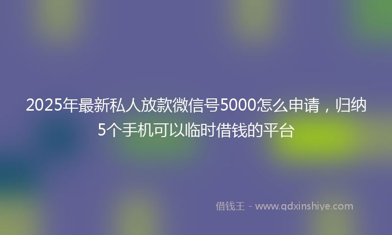 2025年最新私人放款微信号5000怎么申请，归纳5个手机可以临时借钱的平台