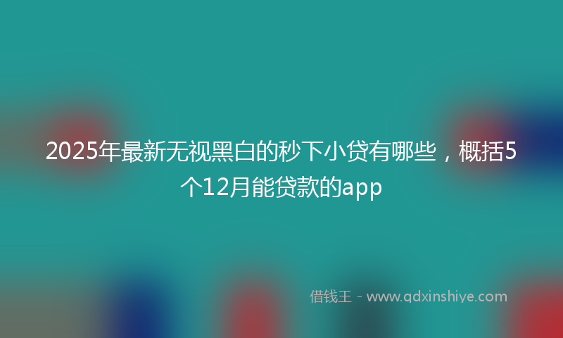 2025年最新无视黑白的秒下小贷有哪些，概括5个12月能贷款的app