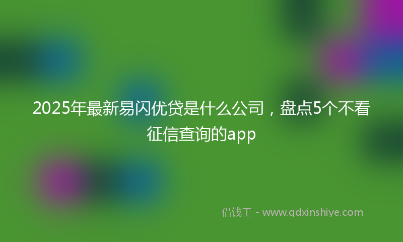2025年最新易闪优贷是什么公司，盘点5个不看征信查询的app