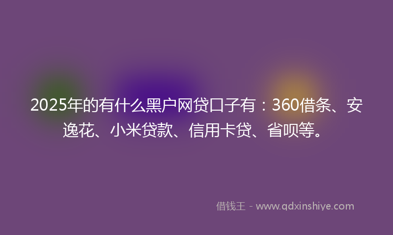 2025年的有什么黑户网贷口子有：360借条、安逸花、小米贷款、信用卡贷、省呗等。