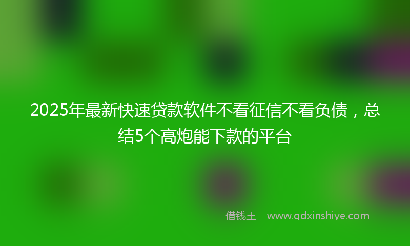 2025年最新快速贷款软件不看征信不看负债，总结5个高炮能下款的平台