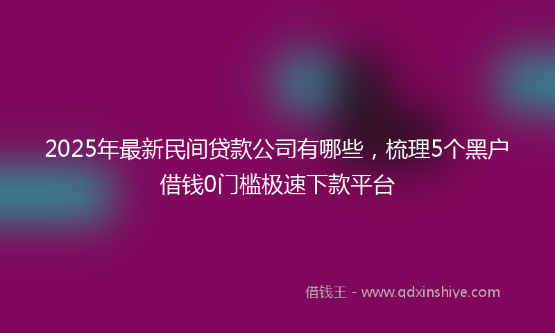 2025年最新民间贷款公司有哪些，梳理5个黑户借钱0门槛极速下款平台