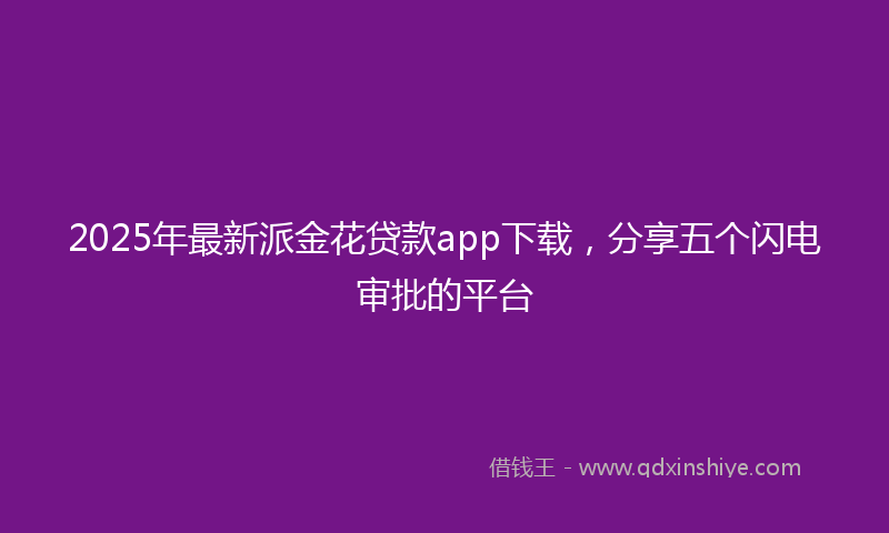 2025年最新派金花贷款app下载，分享五个闪电审批的平台