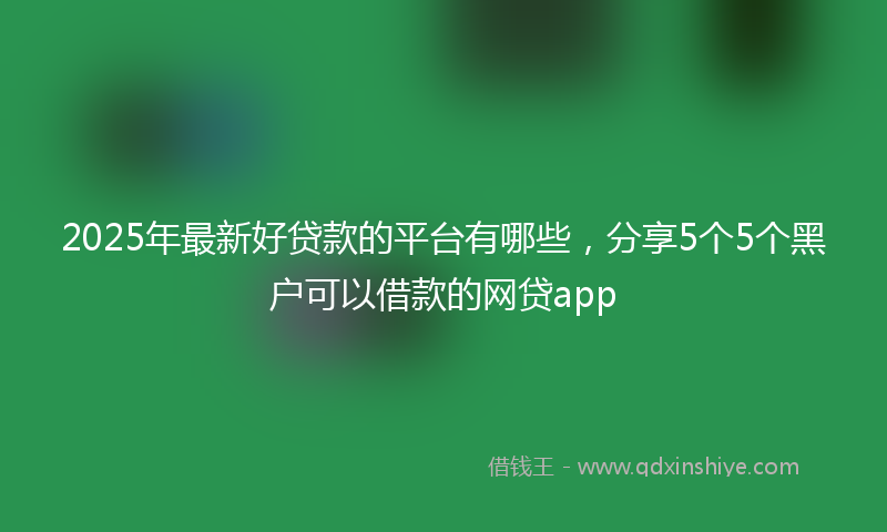2025年最新好贷款的平台有哪些，分享5个5个黑户可以借款的网贷app