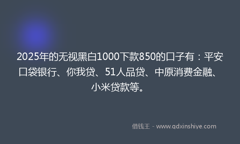 2025年的无视黑白1000下款850的口子有：平安口袋银行、你我贷、51人品贷、中原消费金融、小米贷款等。