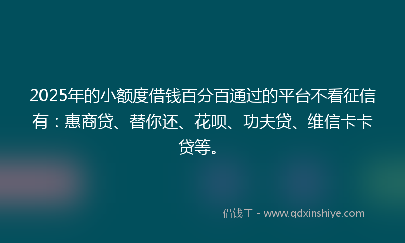2025年的小额度借钱百分百通过的平台不看征信有：惠商贷、替你还、花呗、功夫贷、维信卡卡贷等。