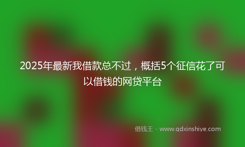 2025年最新我借款总不过，概括5个征信花了可以借钱的网贷平台