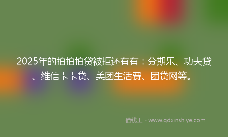 2025年的拍拍拍贷被拒还有有：分期乐、功夫贷、维信卡卡贷、美团生活费、团贷网等。