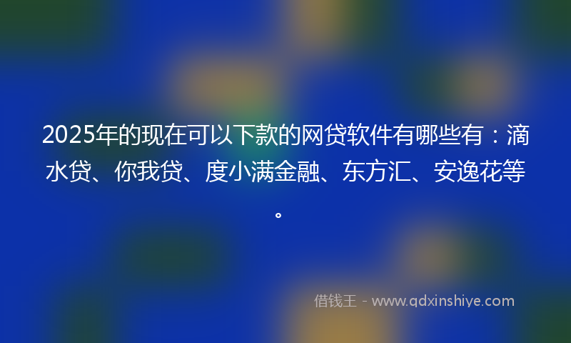 2025年的现在可以下款的网贷软件有哪些有：滴水贷、你我贷、度小满金融、东方汇、安逸花等。