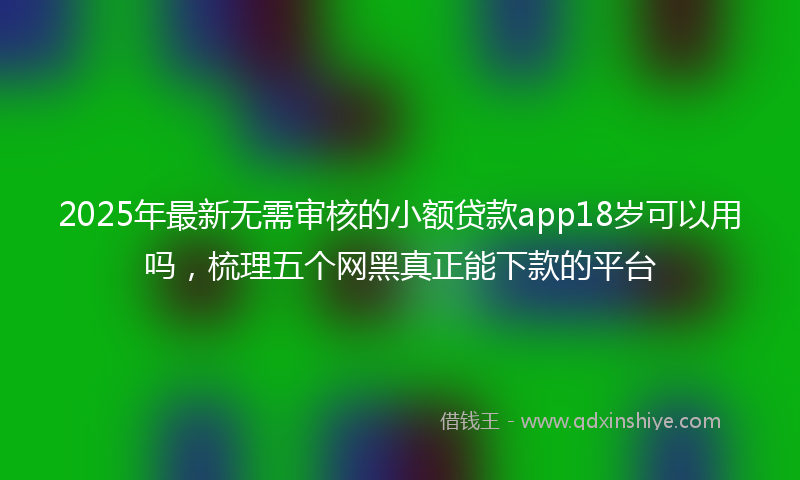 2025年最新无需审核的小额贷款app18岁可以用吗，梳理五个网黑真正能下款的平台