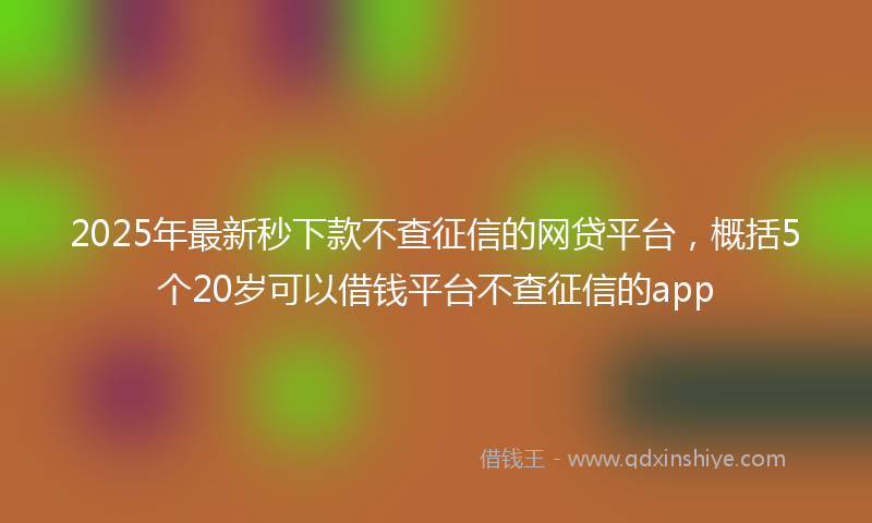 2025年最新秒下款不查征信的网贷平台，概括5个20岁可以借钱平台不查征信的app
