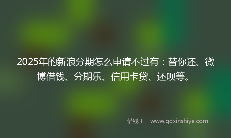 2025年的新浪分期怎么申请不过有：替你还、微博借钱、分期乐、信用卡贷、还呗等。