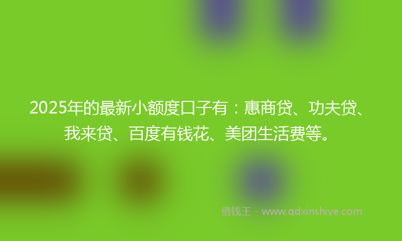2025年的最新小额度口子有：惠商贷、功夫贷、我来贷、百度有钱花、美团生活费等。