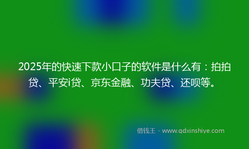 2025年的快速下款小口子的软件是什么有：拍拍贷、平安i贷、京东金融、功夫贷、还呗等。