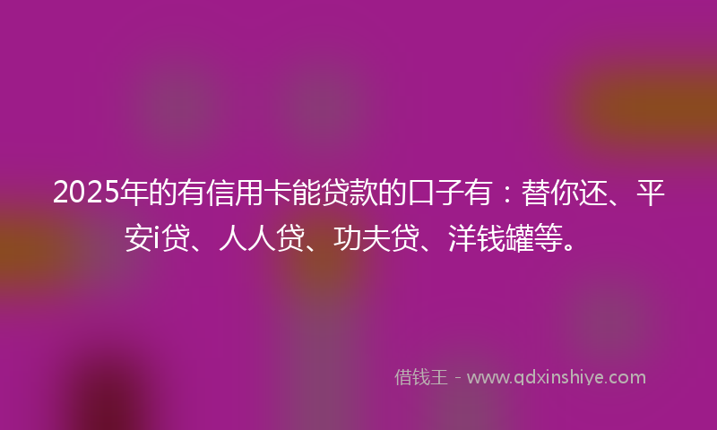 2025年的有信用卡能贷款的口子有：替你还、平安i贷、人人贷、功夫贷、洋钱罐等。