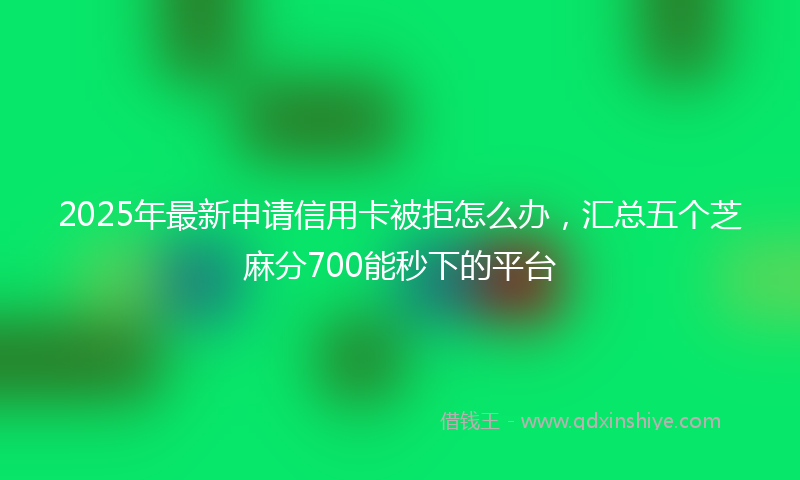 2025年最新申请信用卡被拒怎么办，汇总五个芝麻分700能秒下的平台