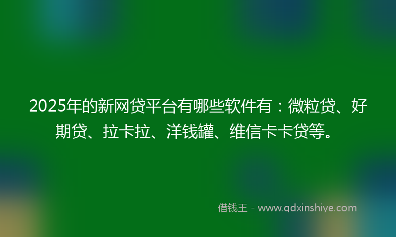 2025年的新网贷平台有哪些软件有：微粒贷、好期贷、拉卡拉、洋钱罐、维信卡卡贷等。