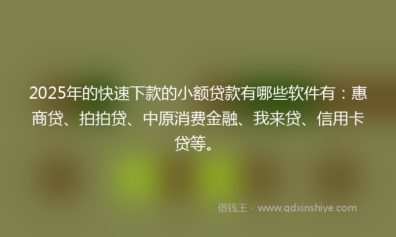 2025年的快速下款的小额贷款有哪些软件有：惠商贷、拍拍贷、中原消费金融、我来贷、信用卡贷等。