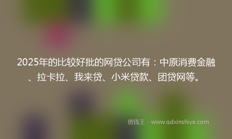 2025年的比较好批的网贷公司有：中原消费金融、拉卡拉、我来贷、小米贷款、团贷网等。