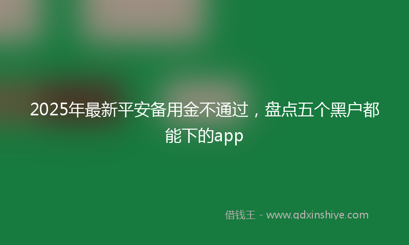 2025年最新平安备用金不通过，盘点五个黑户都能下的app