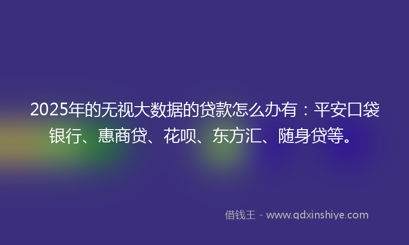 2025年的无视大数据的贷款怎么办有：平安口袋银行、惠商贷、花呗、东方汇、随身贷等。