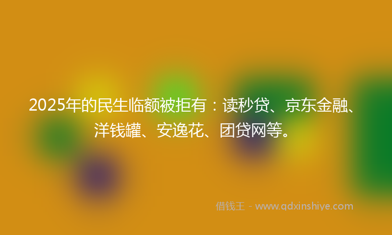 2025年的民生临额被拒有：读秒贷、京东金融、洋钱罐、安逸花、团贷网等。