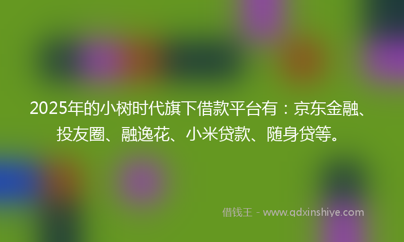 2025年的小树时代旗下借款平台有：京东金融、投友圈、融逸花、小米贷款、随身贷等。