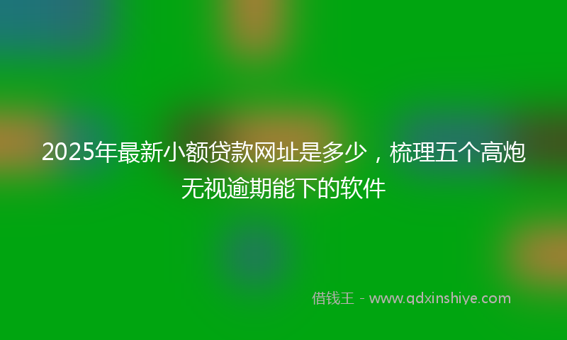2025年最新小额贷款网址是多少，梳理五个高炮无视逾期能下的软件
