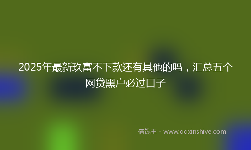 2025年最新玖富不下款还有其他的吗，汇总五个网贷黑户必过口子