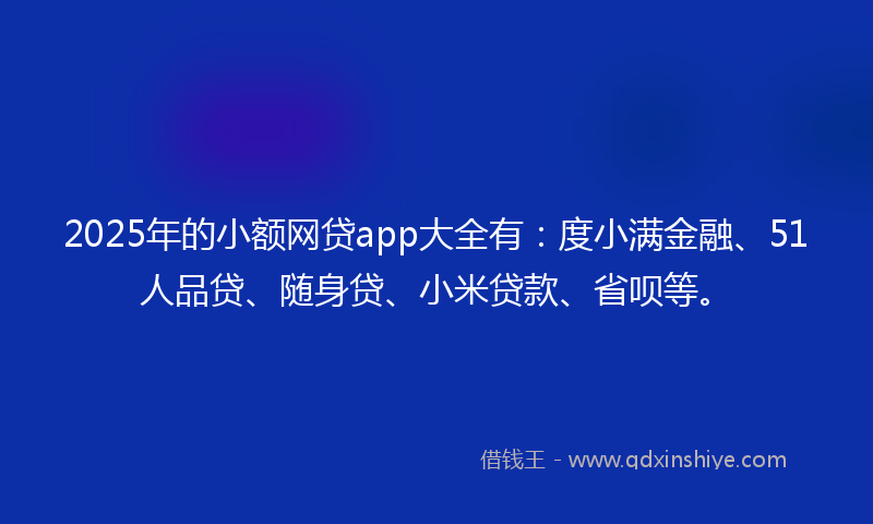 2025年的小额网贷app大全有：度小满金融、51人品贷、随身贷、小米贷款、省呗等。