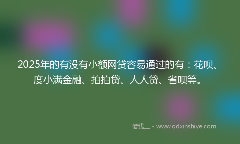 2025年的有没有小额网贷容易通过的有：花呗、度小满金融、拍拍贷、人人贷、省呗等。