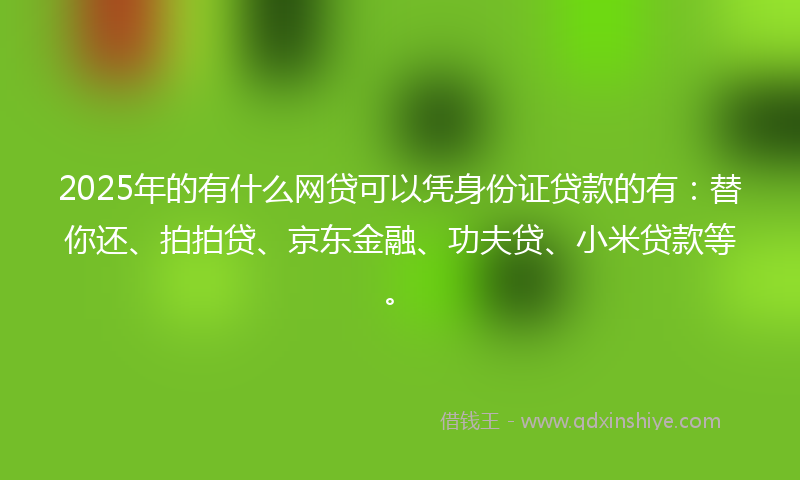 2025年的有什么网贷可以凭身份证贷款的有：替你还、拍拍贷、京东金融、功夫贷、小米贷款等。
