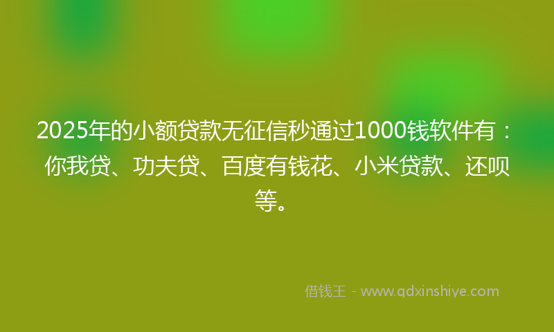 2025年的小额贷款无征信秒通过1000钱软件有：你我贷、功夫贷、百度有钱花、小米贷款、还呗等。