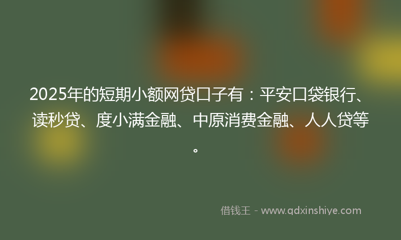 2025年的短期小额网贷口子有：平安口袋银行、读秒贷、度小满金融、中原消费金融、人人贷等。
