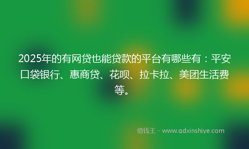 2025年的有网贷也能贷款的平台有哪些有：平安口袋银行、惠商贷、花呗、拉卡拉、美团生活费等。