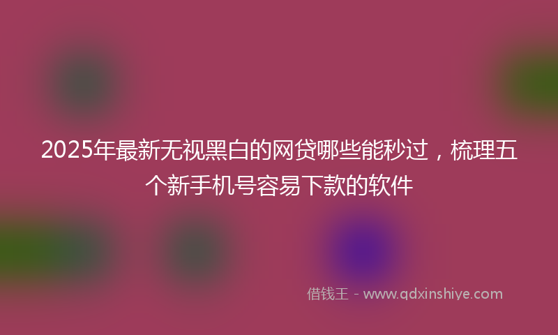 2025年最新无视黑白的网贷哪些能秒过，梳理五个新手机号容易下款的软件