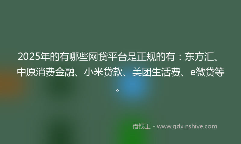2025年的有哪些网贷平台是正规的有：东方汇、中原消费金融、小米贷款、美团生活费、e微贷等。