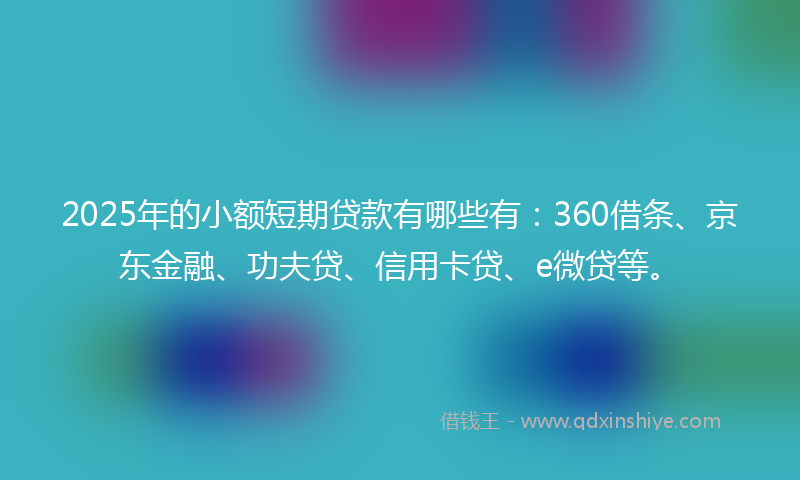 2025年的小额短期贷款有哪些有：360借条、京东金融、功夫贷、信用卡贷、e微贷等。