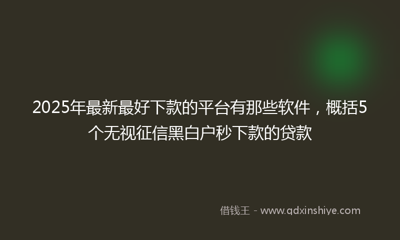 2025年最新最好下款的平台有那些软件，概括5个无视征信黑白户秒下款的贷款