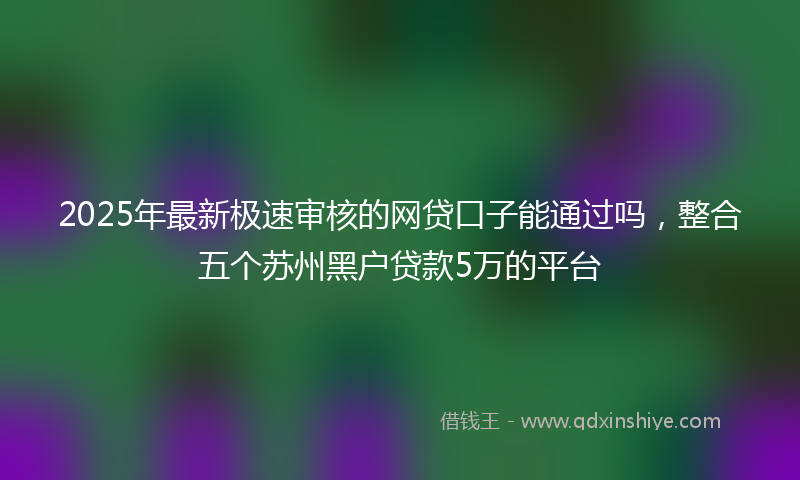 2025年最新极速审核的网贷口子能通过吗，整合五个苏州黑户贷款5万的平台
