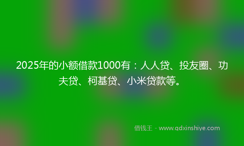 2025年的小额借款1000有：人人贷、投友圈、功夫贷、柯基贷、小米贷款等。