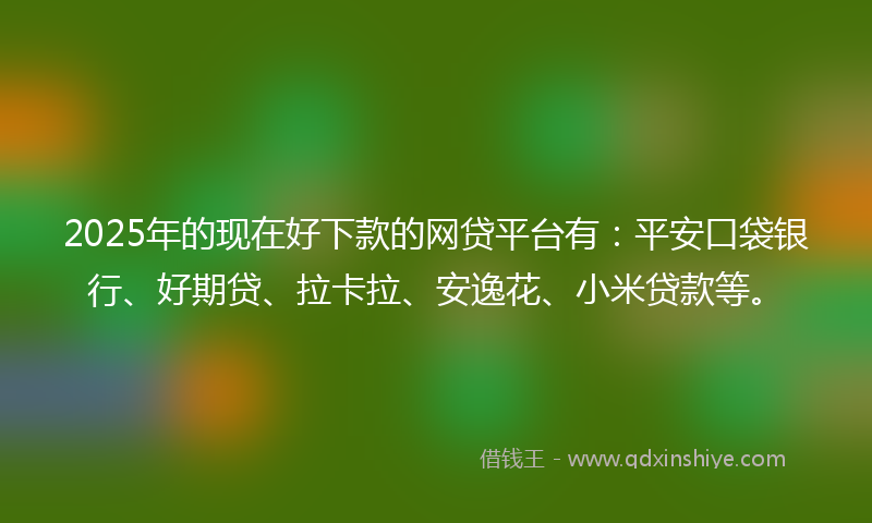 2025年的现在好下款的网贷平台有：平安口袋银行、好期贷、拉卡拉、安逸花、小米贷款等。