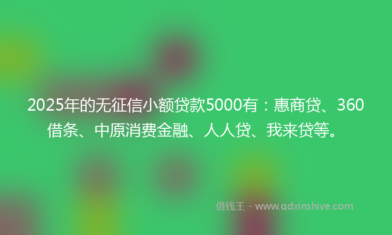 2025年的无征信小额贷款5000有：惠商贷、360借条、中原消费金融、人人贷、我来贷等。