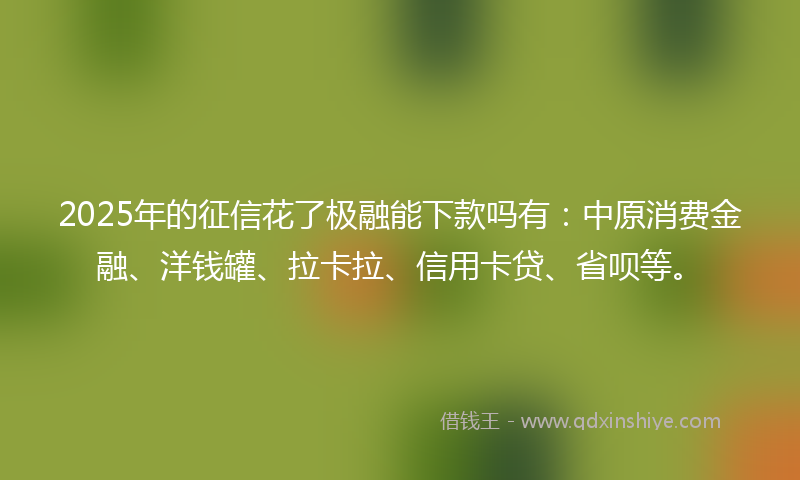 2025年的征信花了极融能下款吗有：中原消费金融、洋钱罐、拉卡拉、信用卡贷、省呗等。