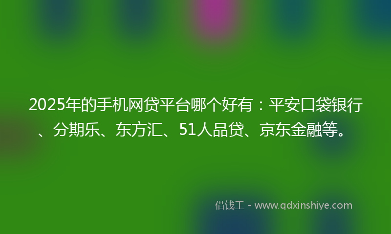 2025年的手机网贷平台哪个好有：平安口袋银行、分期乐、东方汇、51人品贷、京东金融等。