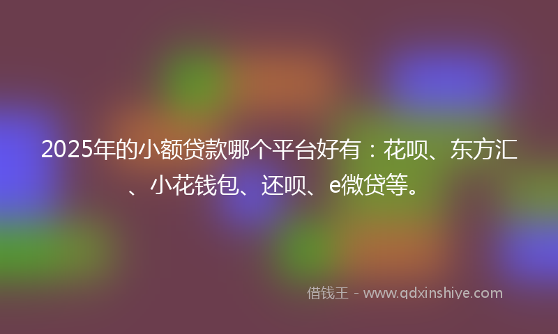 2025年的小额贷款哪个平台好有：花呗、东方汇、小花钱包、还呗、e微贷等。