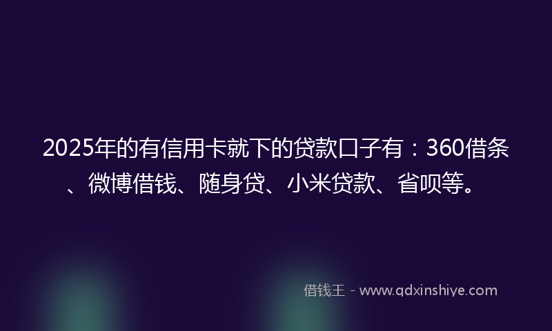2025年的有信用卡就下的贷款口子有：360借条、微博借钱、随身贷、小米贷款、省呗等。